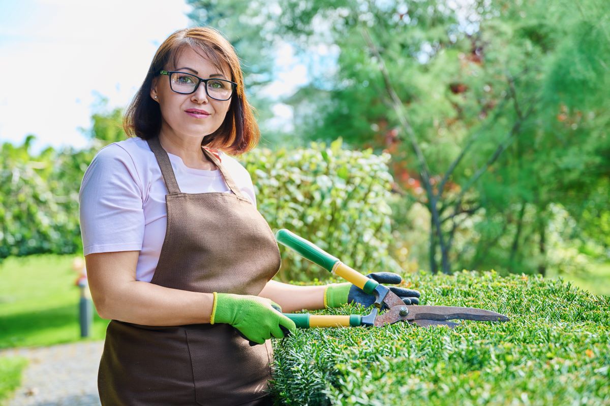 Gartenpflege durchs Jahr: Saisonkalender für Hobby-Gärtner